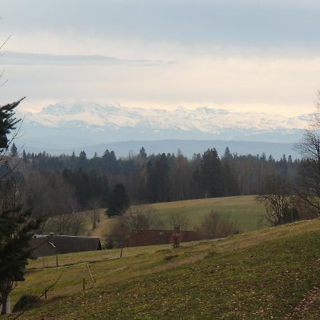 Apartament Haus Ingeborg Dachsberg im Schwarzwald Zewnętrze zdjęcie