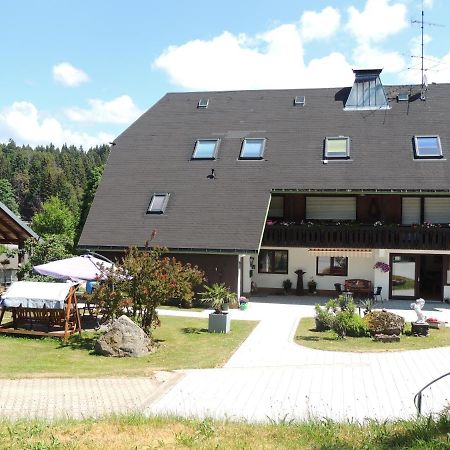Apartament Haus Ingeborg Dachsberg im Schwarzwald Zewnętrze zdjęcie