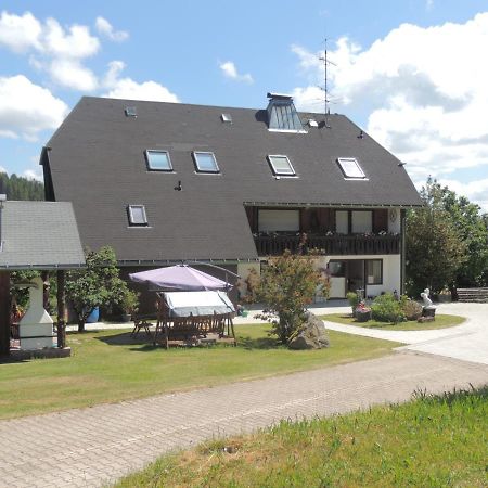 Apartament Haus Ingeborg Dachsberg im Schwarzwald Zewnętrze zdjęcie