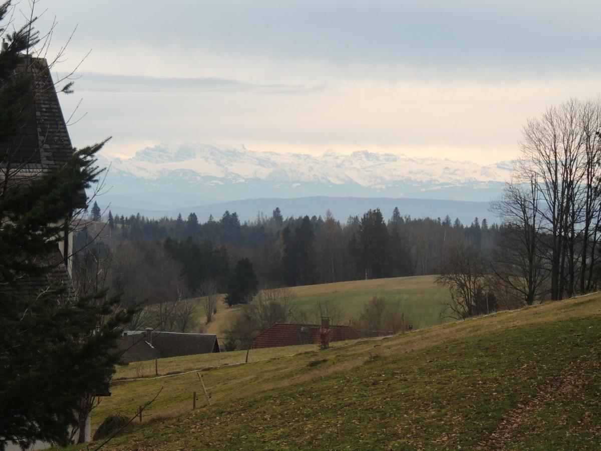 Apartament Haus Ingeborg Dachsberg im Schwarzwald Zewnętrze zdjęcie
