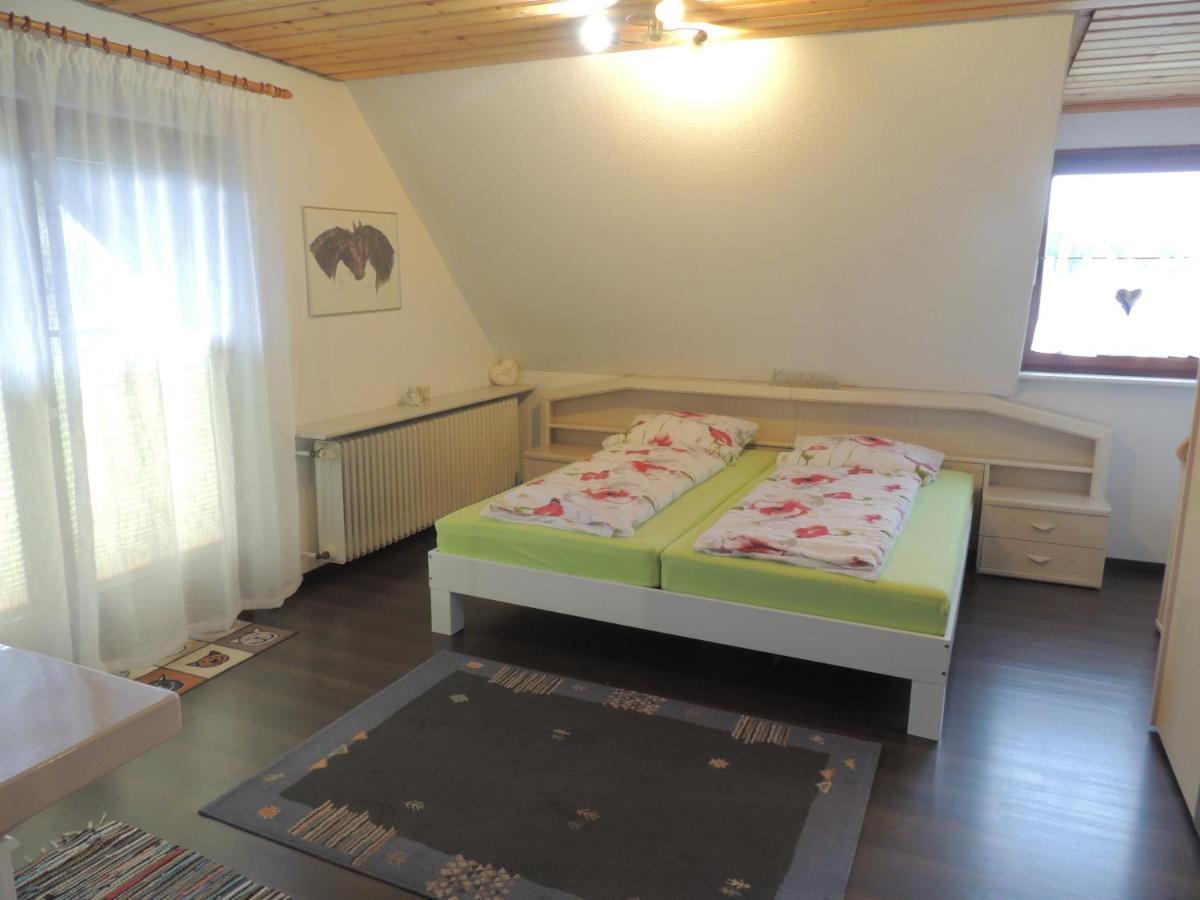 Apartament Haus Ingeborg Dachsberg im Schwarzwald Zewnętrze zdjęcie