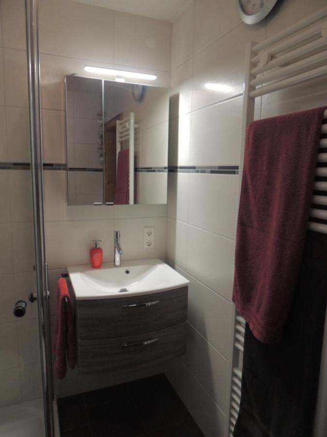 Apartament Haus Ingeborg Dachsberg im Schwarzwald Zewnętrze zdjęcie