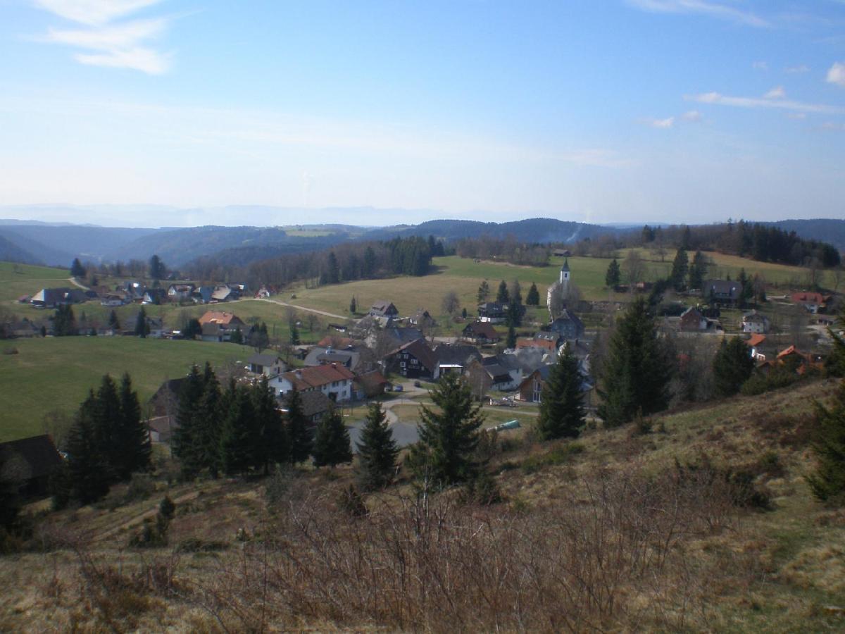 Apartament Haus Ingeborg Dachsberg im Schwarzwald Zewnętrze zdjęcie