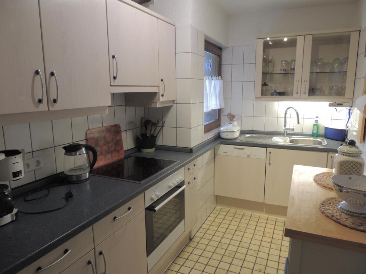Apartament Haus Ingeborg Dachsberg im Schwarzwald Zewnętrze zdjęcie