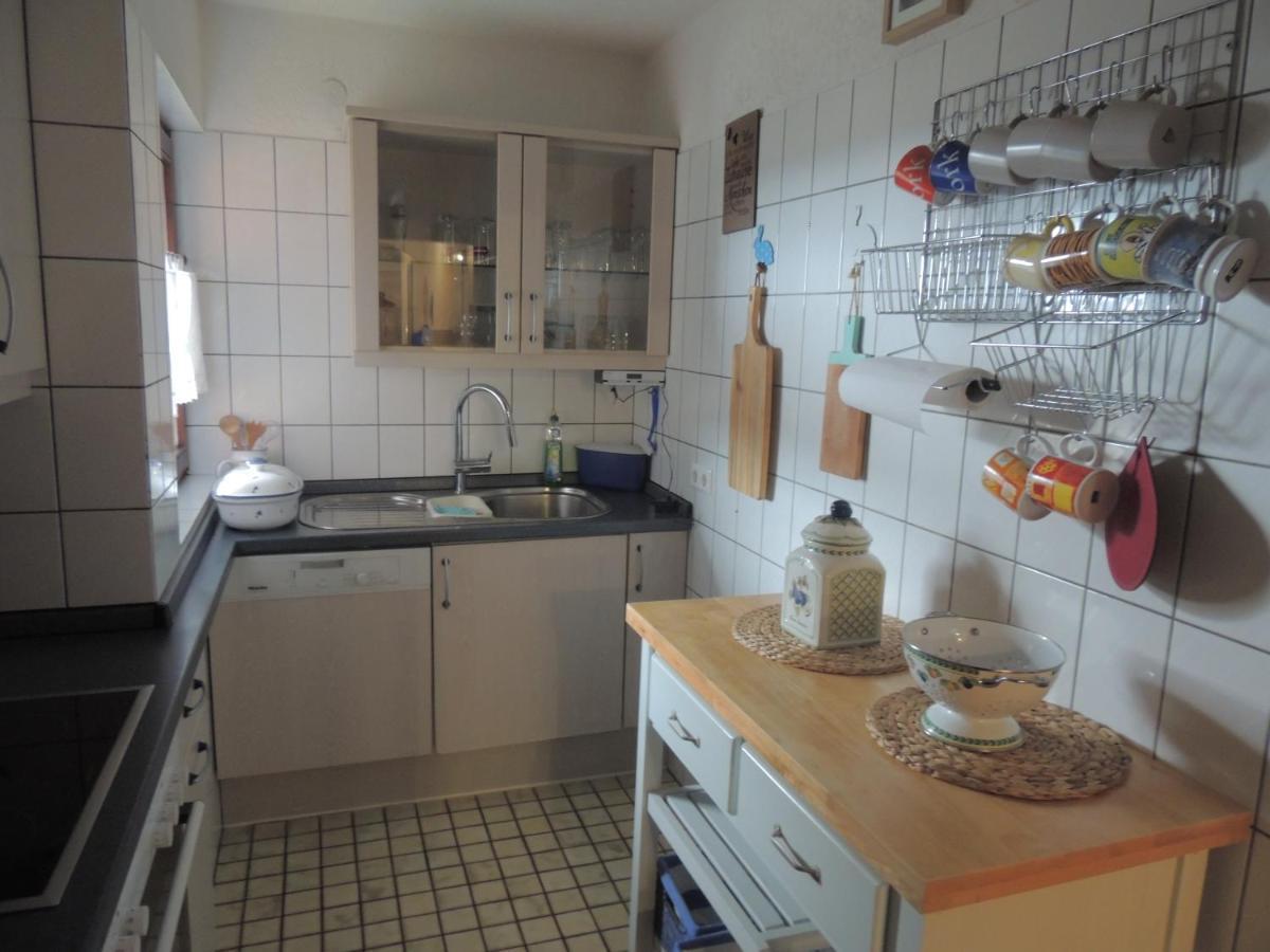 Apartament Haus Ingeborg Dachsberg im Schwarzwald Zewnętrze zdjęcie