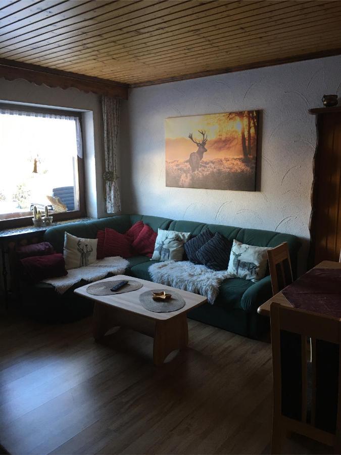 Apartament Haus Ingeborg Dachsberg im Schwarzwald Zewnętrze zdjęcie