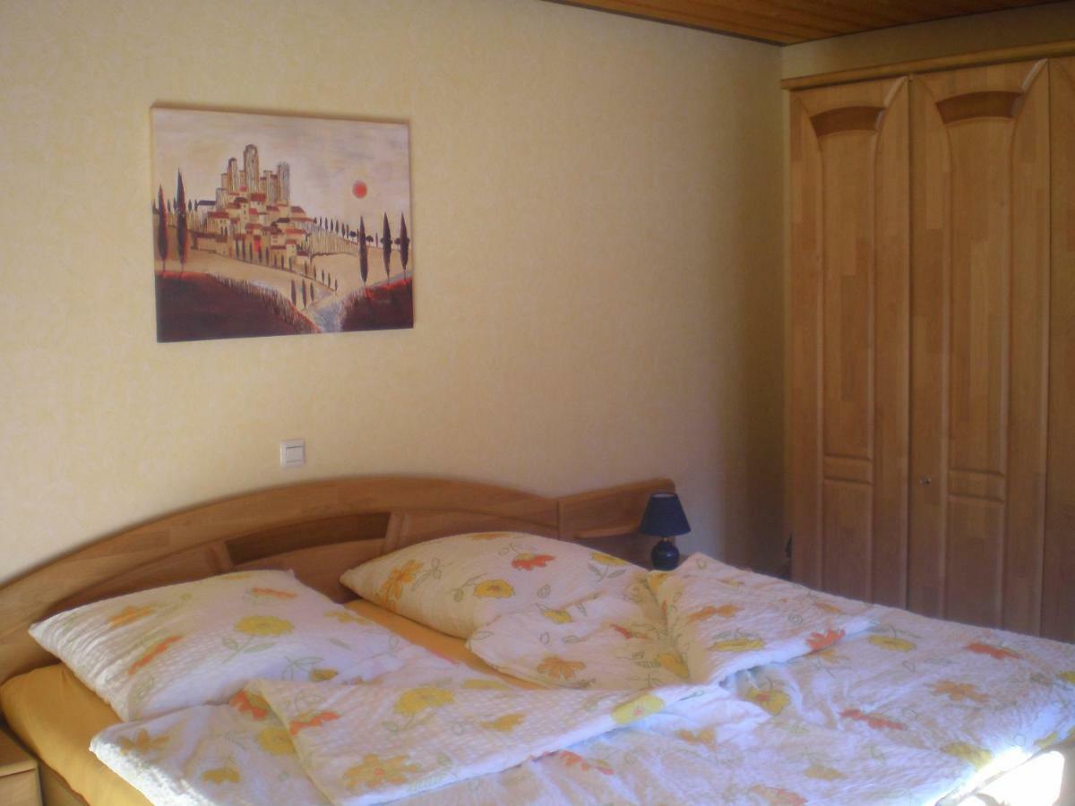 Apartament Haus Ingeborg Dachsberg im Schwarzwald Zewnętrze zdjęcie