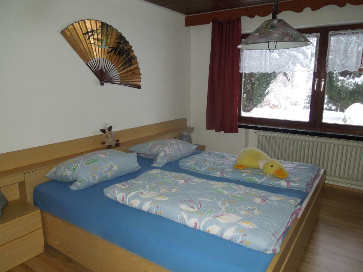Apartament Haus Ingeborg Dachsberg im Schwarzwald Zewnętrze zdjęcie
