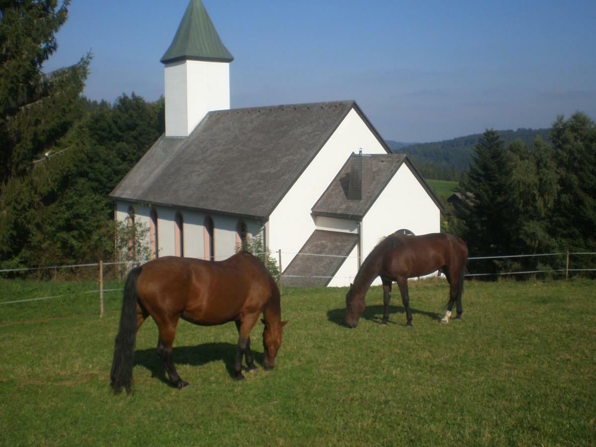 Apartament Haus Ingeborg Dachsberg im Schwarzwald Zewnętrze zdjęcie