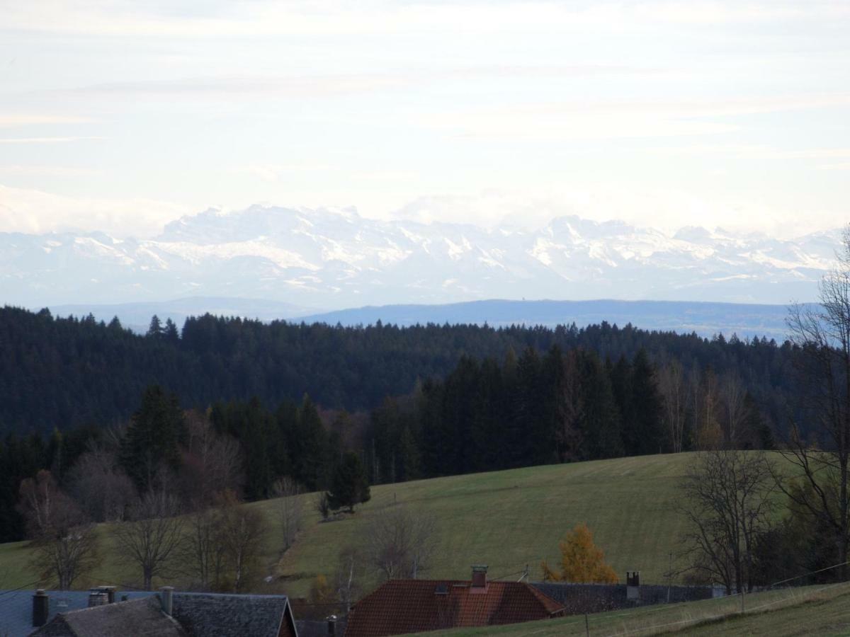 Apartament Haus Ingeborg Dachsberg im Schwarzwald Zewnętrze zdjęcie