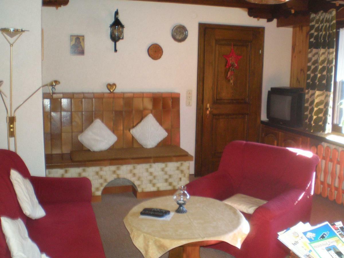 Apartament Haus Ingeborg Dachsberg im Schwarzwald Zewnętrze zdjęcie
