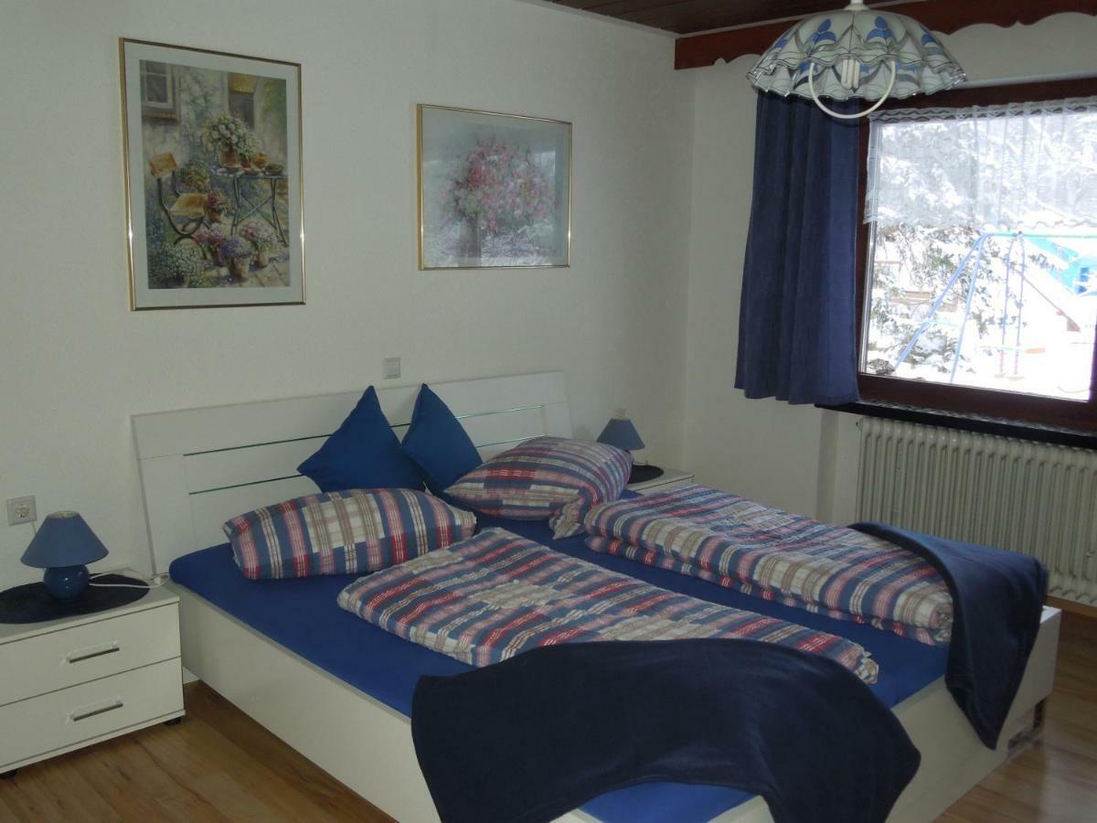Apartament Haus Ingeborg Dachsberg im Schwarzwald Zewnętrze zdjęcie