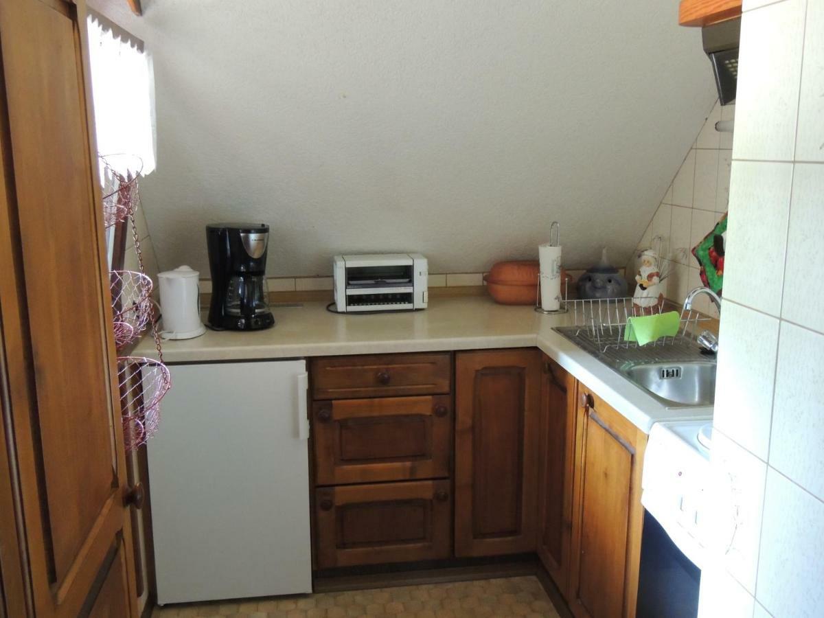 Apartament Haus Ingeborg Dachsberg im Schwarzwald Zewnętrze zdjęcie
