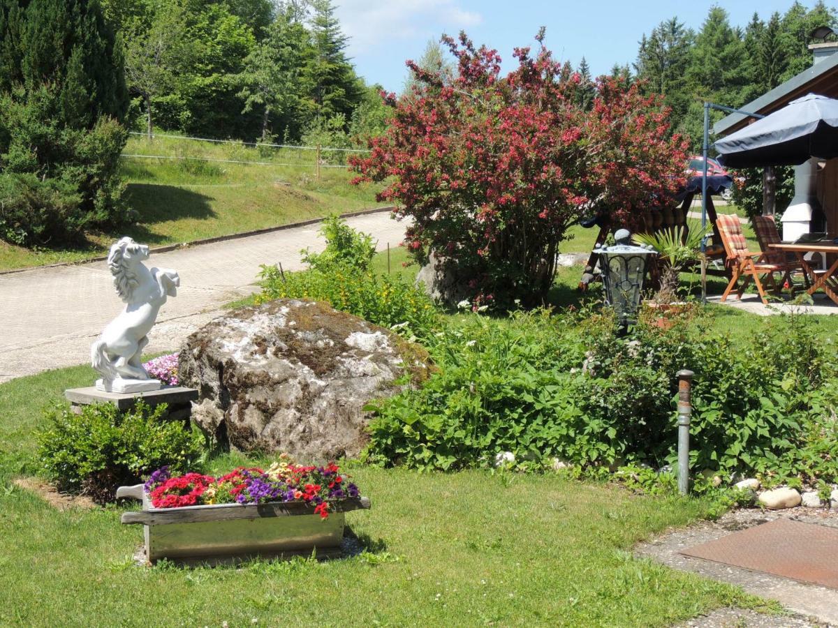 Apartament Haus Ingeborg Dachsberg im Schwarzwald Zewnętrze zdjęcie